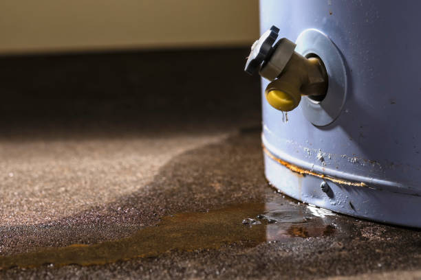 Trusted New Lexington, OH Water damage restoration Experts