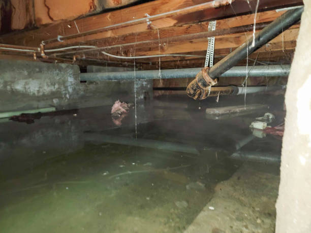 Professional Water damage restoration in New Lexington, OH