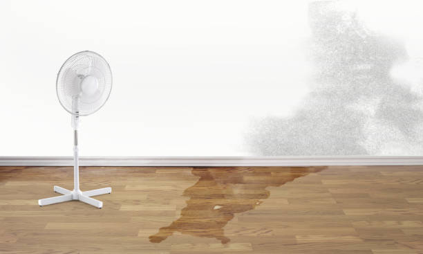 Best Fire Damage Restoration  in New Lexington, OH