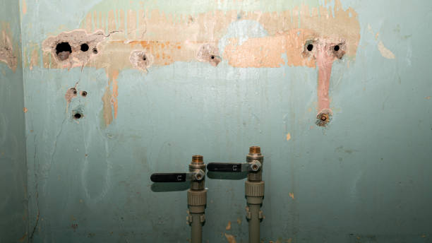  New Lexington, OH Water damage restoration Pros