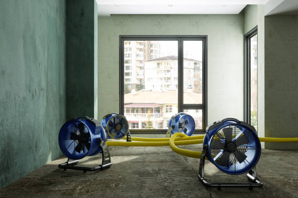 Best 24/7 water damage repair  in New Lexington, OH