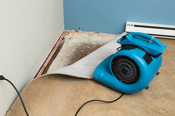 Best Basement water damage restoration  in New Lexington, OH
